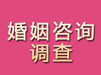 台山婚姻咨询调查