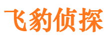 台山市婚外情调查